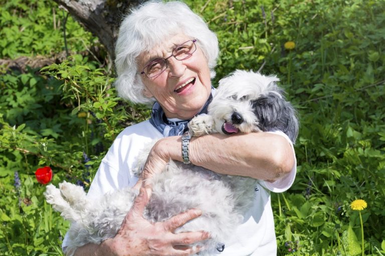 3 Best Dog Breeds for Older Adults